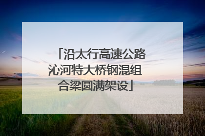 沿太行高速公路沁河特大桥钢混组合梁圆满架设