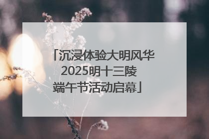 沉浸体验大明风华 2025明十三陵端午节活动启幕