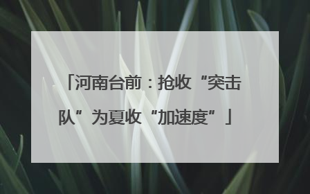 河南台前：抢收“突击队”为夏收“加速度”