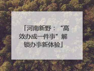 河南新野：“高效办成一件事”解锁办事新体验