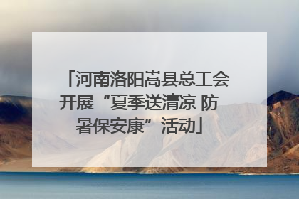 河南洛阳嵩县总工会开展“夏季送清凉 防暑保安康”活动