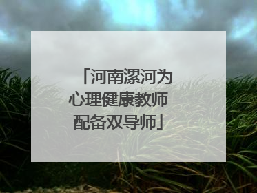 河南漯河为心理健康教师配备双导师