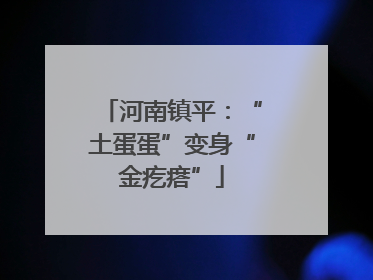 河南镇平：“土蛋蛋”变身“金疙瘩”