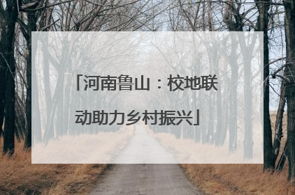 河南鲁山：校地联动助力乡村振兴