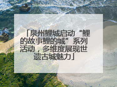 泉州鲤城启动“鲤的故事鲤的城”系列活动，多维度展现世遗古城魅力