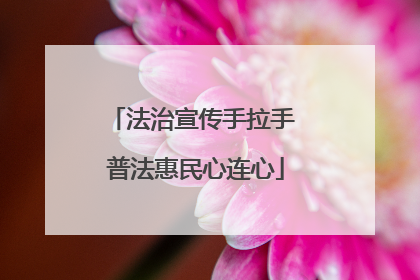 法治宣传手拉手 普法惠民心连心