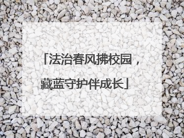 法治春风拂校园，藏蓝守护伴成长