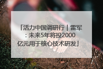 活力中国调研行｜雷军：未来5年将投2000亿元用于核心技术研发