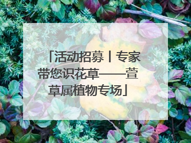 活动招募丨专家带您识花草——萱草属植物专场