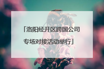 洛阳经开区跨国公司专场对接活动举行