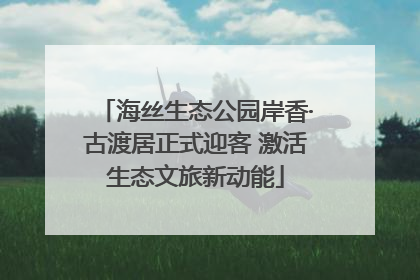 海丝生态公园岸香·古渡居正式迎客 激活生态文旅新动能