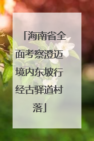 海南省全面考察澄迈境内东坡行经古驿道村落