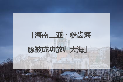海南三亚：糙齿海豚被成功放归大海