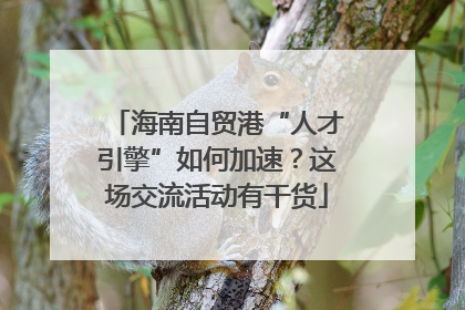 海南自贸港“人才引擎”如何加速？这场交流活动有干货