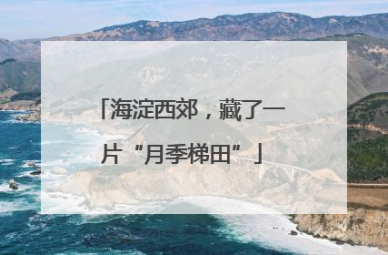 海淀西郊，藏了一片“月季梯田”