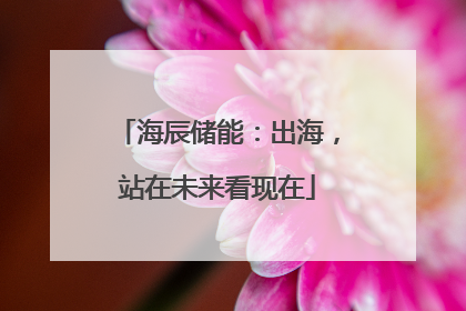 海辰储能：出海，站在未来看现在