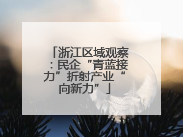 浙江区域观察：民企“青蓝接力”折射产业“向新力”