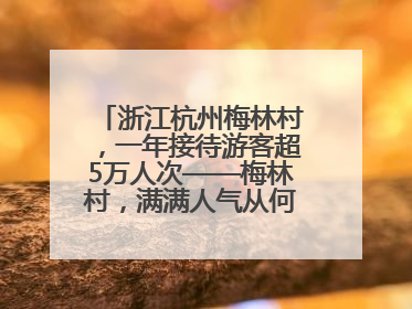 浙江杭州梅林村，一年接待游客超5万人次——梅林村，满满人气从何来（经济新方位·农村消费观察）