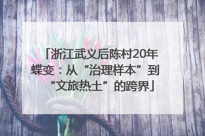 浙江武义后陈村20年蝶变：从“治理样本”到“文旅热土”的跨界