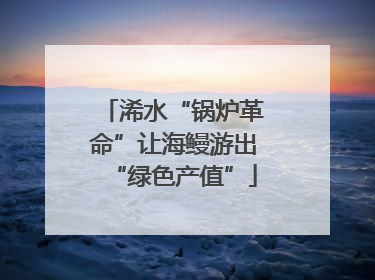 浠水“锅炉革命”让海鳗游出“绿色产值”