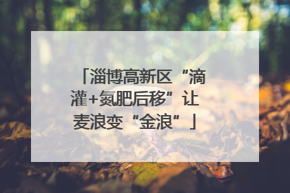 淄博高新区“滴灌+氮肥后移”让麦浪变“金浪”
