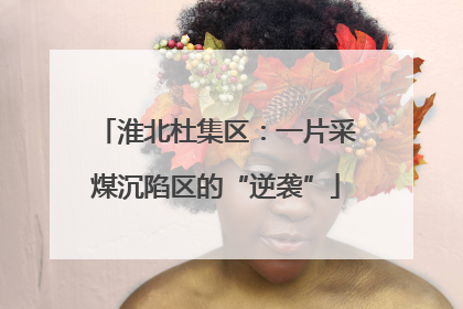 淮北杜集区：一片采煤沉陷区的“逆袭”