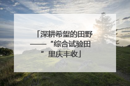 深耕希望的田野——“综合试验田”里庆丰收