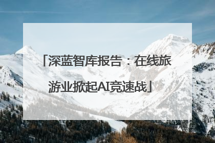 深蓝智库报告：在线旅游业掀起AI竞速战