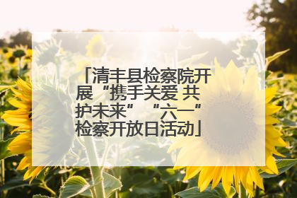 清丰县检察院开展“携手关爱 共护未来”“六一”检察开放日活动