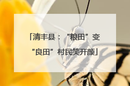 清丰县：“粮田”变“良田”村民笑开颜