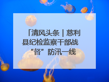 清风头条｜慈利县纪检监察干部战“督”防汛一线 守护群众利益