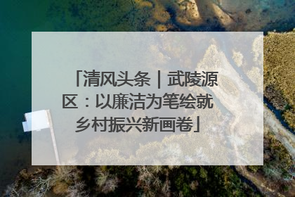 清风头条｜武陵源区：以廉洁为笔绘就乡村振兴新画卷
