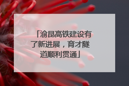 渝昆高铁建设有了新进展，育才隧道顺利贯通