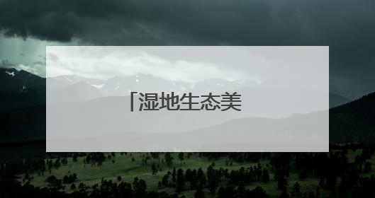 湿地生态美 夏日麋鹿欢
