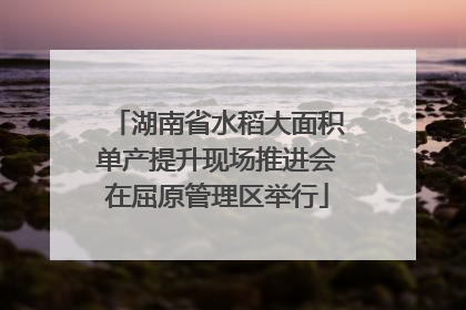 湖南省水稻大面积单产提升现场推进会在屈原管理区举行