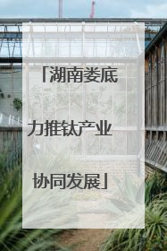 湖南娄底力推钛产业协同发展