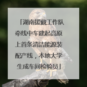 湖南援藏工作队牵线中车建起高原上首条清洁能源装配产线，本地大学生成车间检验员
