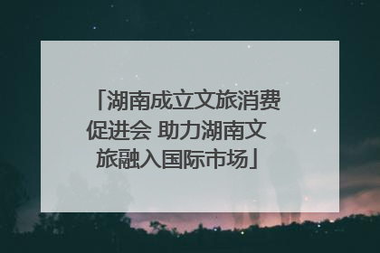 湖南成立文旅消费促进会 助力湖南文旅融入国际市场