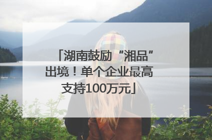 湖南鼓励“湘品”出境！单个企业最高支持100万元