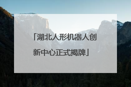 湖北人形机器人创新中心正式揭牌