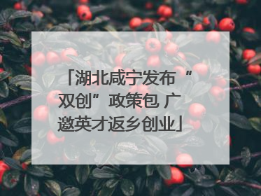 湖北咸宁发布“双创”政策包 广邀英才返乡创业