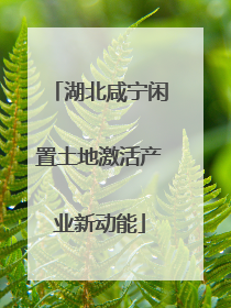 湖北咸宁闲置土地激活产业新动能