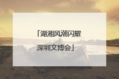 湖湘风潮闪耀深圳文博会
