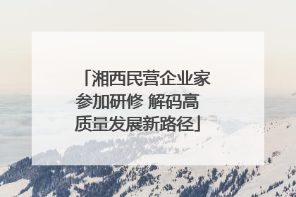 湘西民营企业家参加研修 解码高质量发展新路径