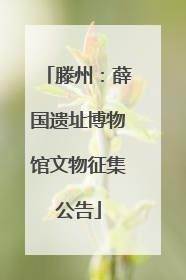 滕州：薛国遗址博物馆文物征集公告