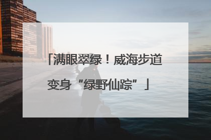 满眼翠绿！威海步道变身“绿野仙踪”