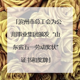 滨州市总工会为公用事业集团颁发“山东省五一劳动奖状”证书和奖牌