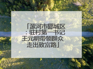 漯河市郾城区：驻村第一书记王元明带领群众走出致富路