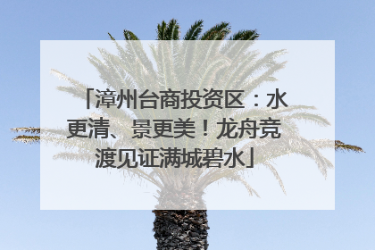 漳州台商投资区：水更清、景更美！龙舟竞渡见证满城碧水