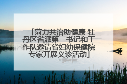 菏力共治助健康 牡丹区省派第一书记和工作队邀请省妇幼保健院专家开展义诊活动